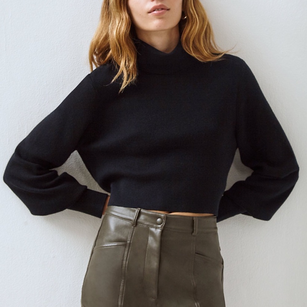 Aritzia Wilfred Rebecca Turtleneck